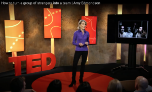Amy Edmondson TED-talk Teaming Psychological Safety